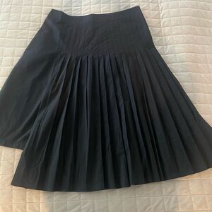 Banana Republic pleased skirt